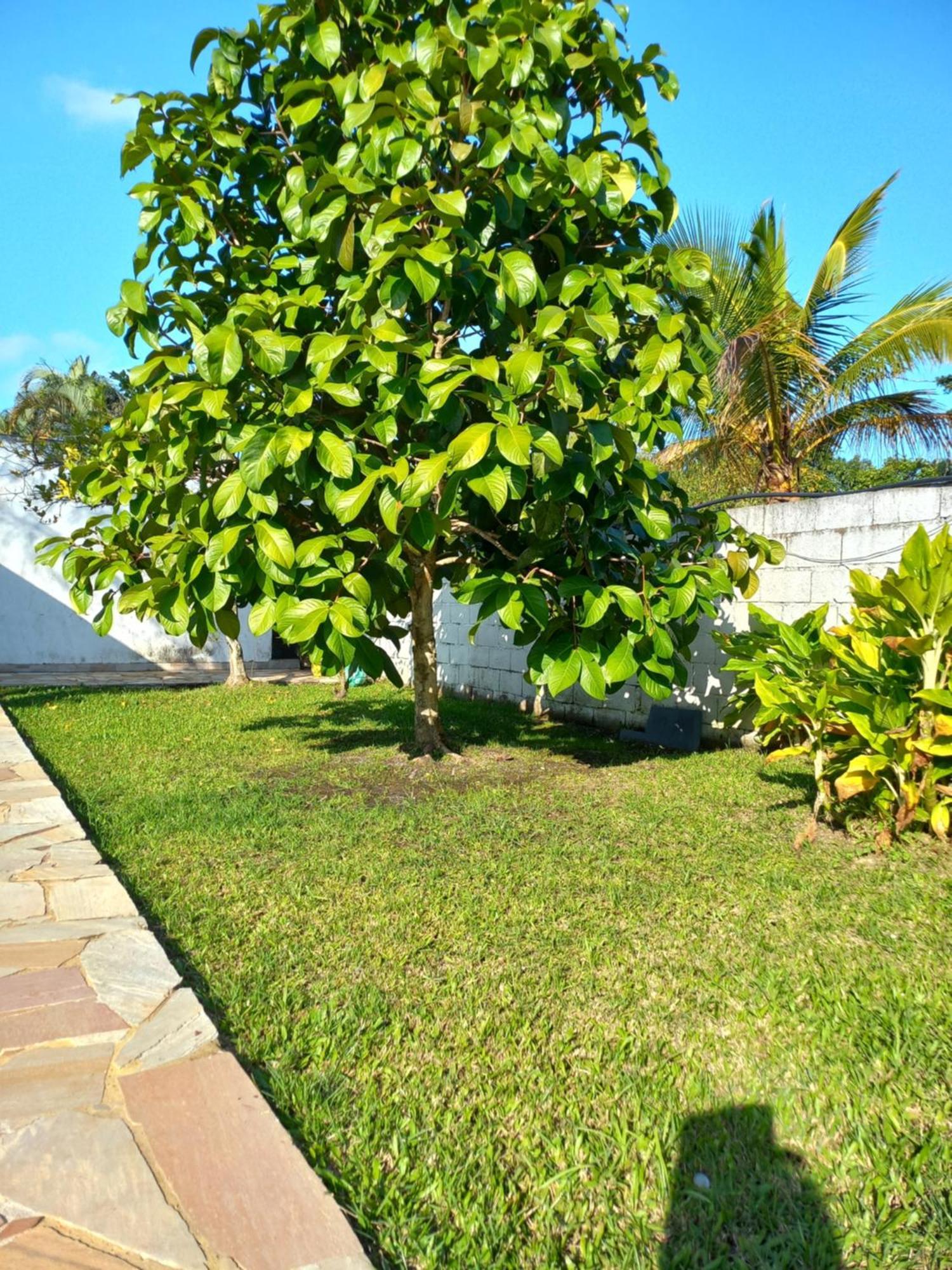 Chacara Sitio Casa Peruibe Praia Экстерьер фото